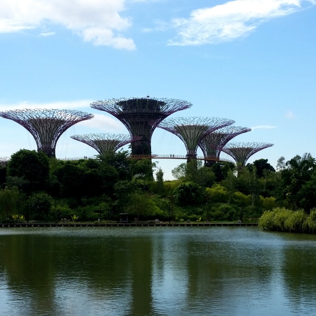 The Supertrees from a distance. Part of the cooling system.