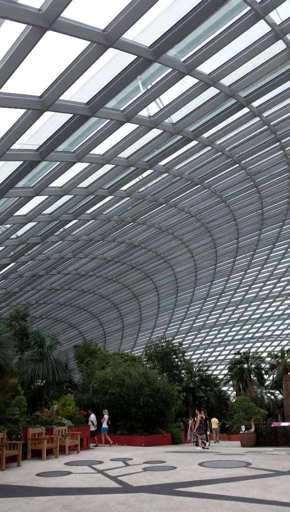 First view inside the Flower Dome, looking up towards the succulents and arid garden